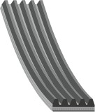 Febi Bilstein Curea transmisie cu caneluri