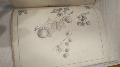 CAIET DESEN , DESENE ANII 1900 foto