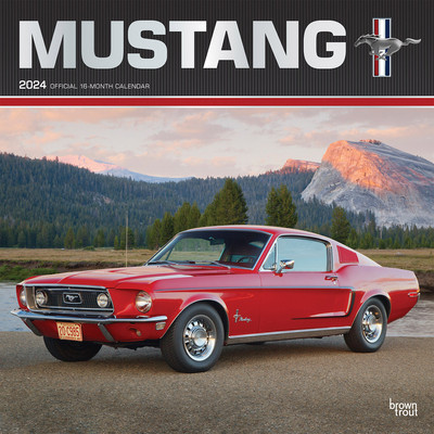 Mustang 2024 Square Foil