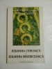 Ierarhia Cereasca si Bisericeasca - Dionisie Pseudo-Areopagitul - Crestinism