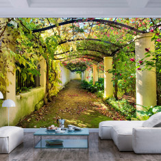 Fototapet vlies - Pergola - 250 x 175 cm foto