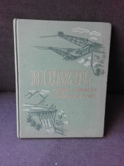 BICAZUL, O PAGINA MAREATA DIN ISTORIA NOASTRA VOL.I, ALBUM foto