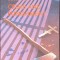 CRIME AND PUNISHMENT-F.M. DOSTOIEVSKI-274739