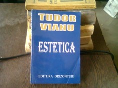 ESTETICA - TUDOR VIANU foto