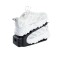 icon 10
