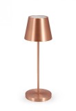 Cumpara ieftin Veioza metal bronz Etna 12x38 cm