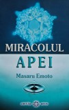 Cumpara ieftin Miracolul apei - 2007 - Masaru Emoto (@D393)