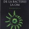 DE LA BACTERII LA OM. EVOLUTIA LUMII VII-ERNST MAYR-272653
