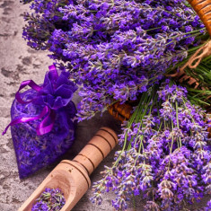 Fototapet de perete autoadeziv si lavabil Flori167 Cos cu lavanda, 150 x 205 cm