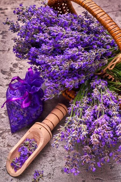 Fototapet de perete autoadeziv si lavabil Flori167 Cos cu lavanda, 135 x 225 cm