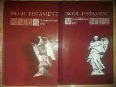 Noul Testament Evanghelia dupa Ioan Evanghelia dupa Matei