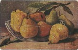 AMS# - ILUSTRATA FRUCTE IN RELIEF, NECIRCULATA 1918