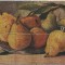 AMS# - ILUSTRATA FRUCTE IN RELIEF, NECIRCULATA 1918