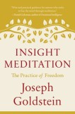 Insight Meditation: The Practice of Freedom