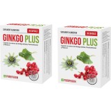 Pachet Gingko Plus (Ginkgo Biloba) 30cps + 30cps