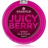 Essence Juicy Berry Tinted blush lichid și luciu de buze 3 g