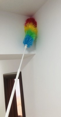 Pamatuf praf extensibil foto