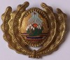 Emblema Militara RSR, Medalii Romania, Numismatica