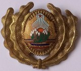 Emblema Militara RSR, Medalii Romania, Numismatica