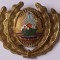 Emblema militara RSR