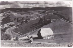 AMS - ILUSTRATA 1251, IN MUNTII RODNEI, ANUL 1961