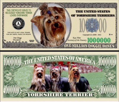 !!! SUA = FANTASY NOTE = YORKSHIRE TERRIER - 2006 - UNC / SERIA CAINI , WOOF foto