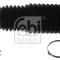 FEBI BILSTEIN 38740 Ansamblu burduf, directie