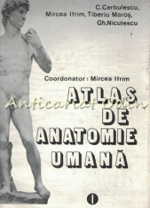 Atlas De Anatomie Umana I - Conf. Dr. Mircea Ifrim foto