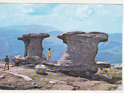 bnk cp Muntii Bucegi - Babele - circulata - marca fixa foto