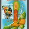 CPIB 19964 CARTE POSTALA, FELICITARE - BAIAT CU SORCOVA, LUMANARE