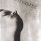 W.G. Sebald - Austerlitz