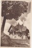 AMS - ILUSTRATA 1305, PREDEAL - CASA DE ODIHNA, CU PERFORARI, Circulata, Printata