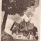 AMS - ILUSTRATA 1305, PREDEAL - CASA DE ODIHNA, CU PERFORARI