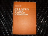 Cumpara ieftin Calauza In Lumea Plantelor Si Animalelor - Constantin Parvu, Stoica Godeanu, Laurentiu Stroe , 20963, CERES
