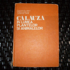 Calauza In Lumea Plantelor Si Animalelor - Constantin Parvu, Stoica Godeanu, Laurentiu Stroe ,552499