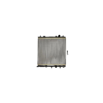 Radiator apa PEUGEOT 207 WA WC AVA Quality Cooling PE2298 foto