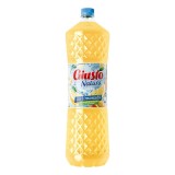 Bax 4 Buc Bautura Racoritoare Giusto Natura, cu Limonada, 2 L, Suc Fara Acid, Suc Giusto, Suc Limonada Giusto, Suc Giusto Natura, Suc 2 L, Sticla de S