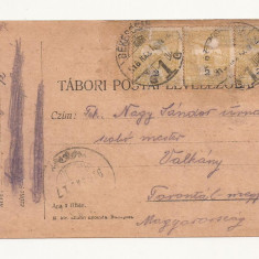 D2 Carte Postala Militara k.u.k. Imperiul Austro-Ungar ,1917 Reg. Torontal