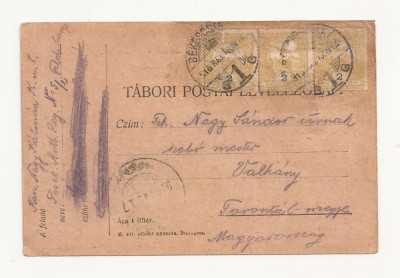 D2 Carte Postala Militara k.u.k. Imperiul Austro-Ungar ,1917 Reg. Torontal foto