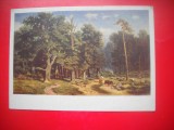 HOPCT 23012 PEISAJ -A S EGORNOV 1858-1902 - --RUSIA- -CP PICTURA -NECIRCULATA