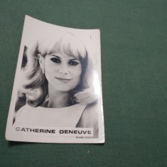 FOTO TIP 9/6CM COOPERATIVA FOTOGRAFIA CATHERINE DENEUVE DE COLECTIE