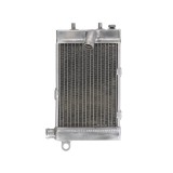 Radiator APRILIA TUONO 1000 2002 2005