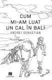 Carte Cum mi-am luat un cal in Bali, Roman Fictiune, Andrei Sebastian, Paperback brosat
