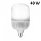 Bec foto LED 40W 6500K - lumina continua rece, fasung E27