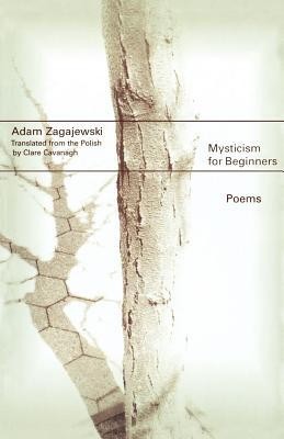 Mysticism for Beginners foto
