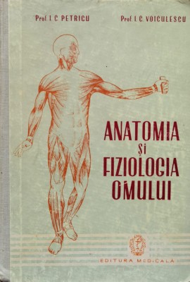 Anatomia Si Fiziologia Omului - I. C. Petricu , F928 foto