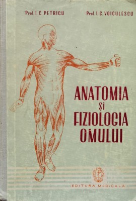 Anatomia Si Fiziologia Omului - I. C. Petricu ,560760 foto