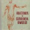 Anatomia Si Fiziologia Omului - I. C. Petricu , F928