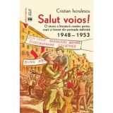 Salut voios! O istorie a literaturii romane pentru copii si tineret din perioada stalinista - Cristian Iscrulescu