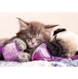 Cumpara ieftin Puzzle Educa - Dream companions, 500 piese